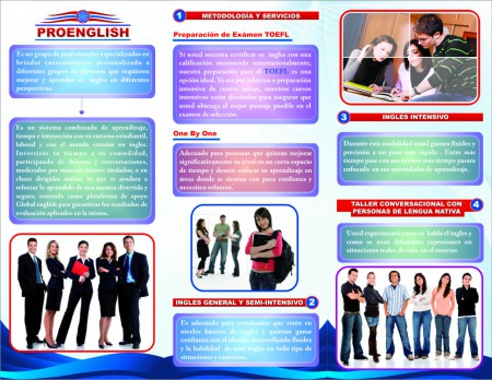 ¿Cual es el mejor para usted?